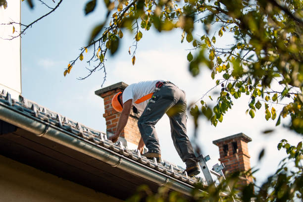Best Slate Roofing Contractor  in Drain, OR