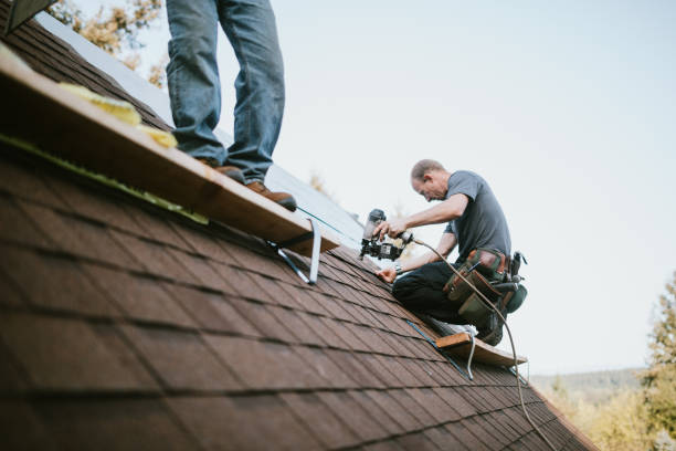 Best New Roof Installation  in Drain, OR